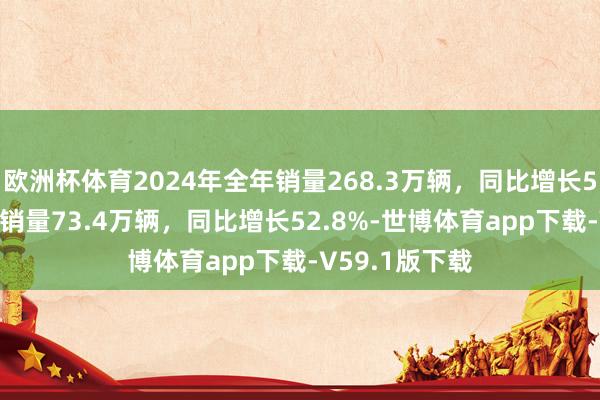 欧洲杯体育2024年全年销量268.3万辆，同比增长5.1%，新动力销量73.4万辆，同比增长52.8%-世博体育app下载-V59.1版下载