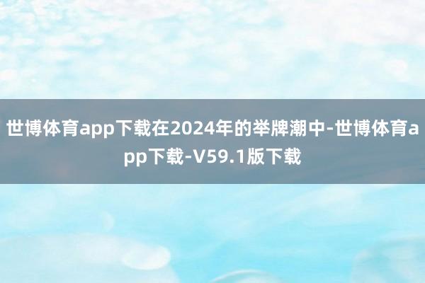 世博体育app下载在2024年的举牌潮中-世博体育app下载-V59.1版下载
