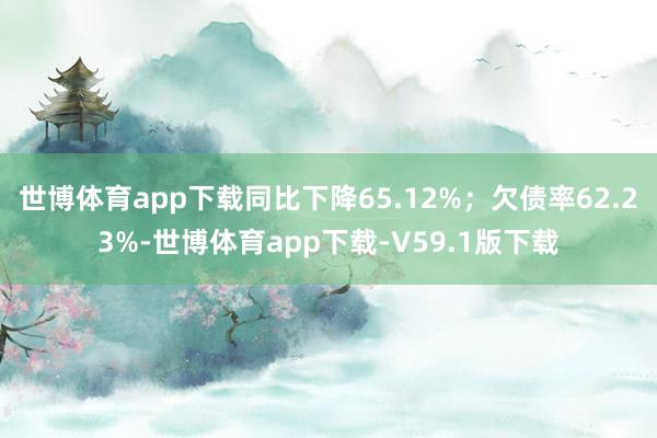 世博体育app下载同比下降65.12%；欠债率62.23%-世博体育app下载-V59.1版下载