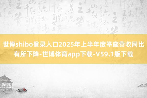 世博shibo登录入口2025年上半年度举座营收同比有所下降-世博体育app下载-V59.1版下载